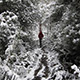 Chris Lamb avatar picture